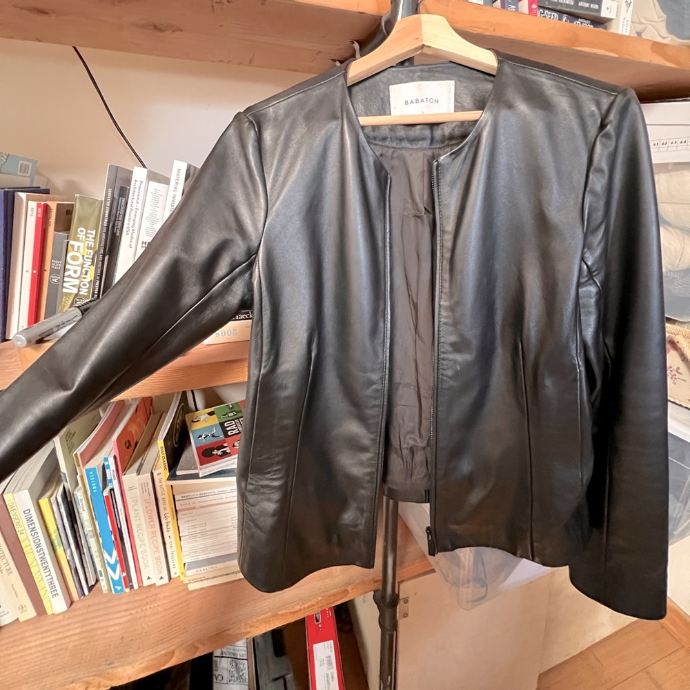 Babaton Jett real Leather Jacket